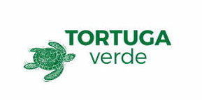 Logo tortuga verde